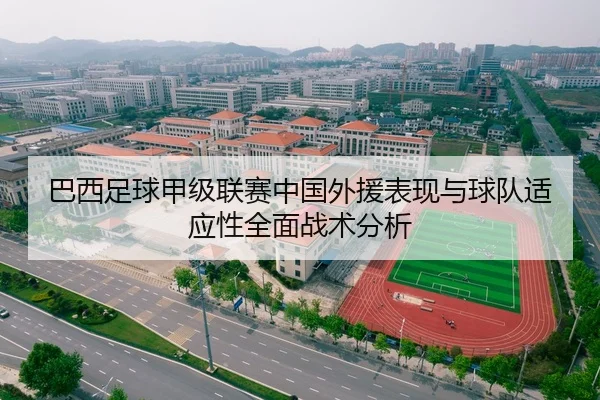 巴西足球甲级联赛中国外援表现与球队适应性全面战术分析